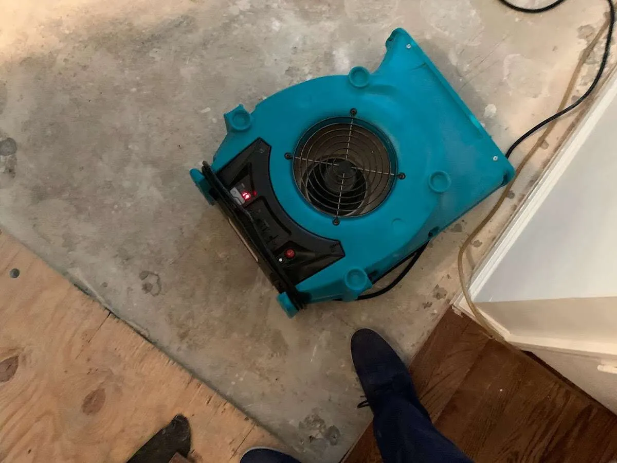 Air mover drying subfloor during Commercial Water Damage Restoration in Massapequa Park